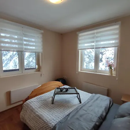 Apartment Paja *