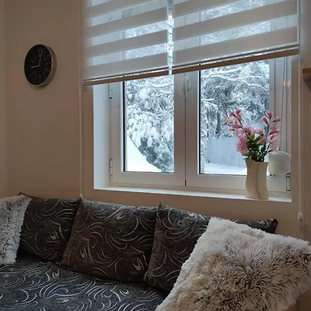 Apartment Paja *